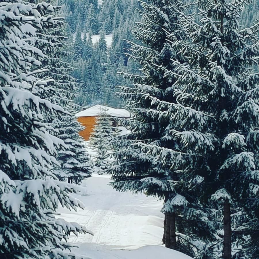 Дома для отпуска Resort Skrivena Беране-4