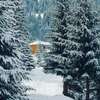 Дома для отпуска Resort Skrivena Беране-0